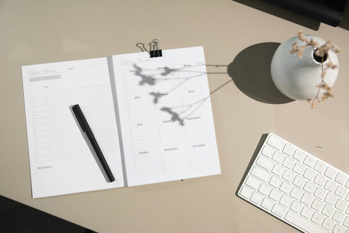 como organizar projetos no clickup do zero